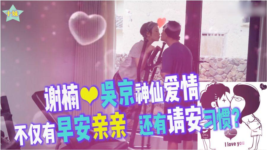 动物帮帮忙保卫家园