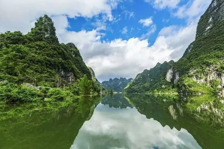 探索如果发现学校有疑似病例应该怎样处理?,解答您的疑惑